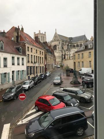 Les Dames Au Chapeau Vert Saint-Omer  Kültér fotó